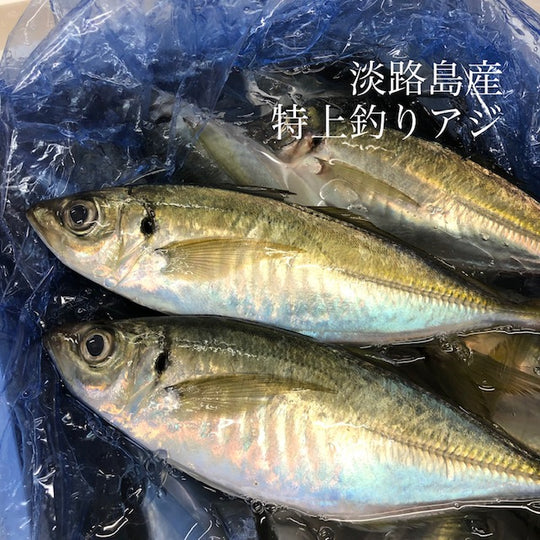 特上釣りアジ 淡路島産 1尾150-200gサイズ 計4尾 マアジ 鯵【淡路鯵4尾】冷蔵