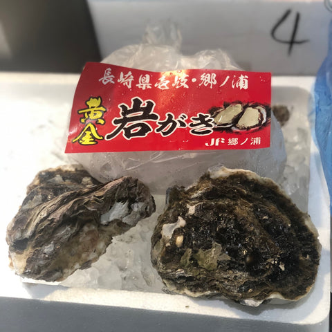 超特大 黄金岩牡蠣 長崎県壱岐産 約500gアップ x3個入【特大岩牡蠣-壱岐ｘ3個】冷蔵 豊洲直送