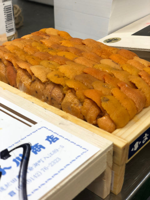 上 ウニ 並び 北方四島・北海道産 バフンウニ 赤ウニ 約300g 大箱【上赤ウニ大箱ｘ１】冷蔵