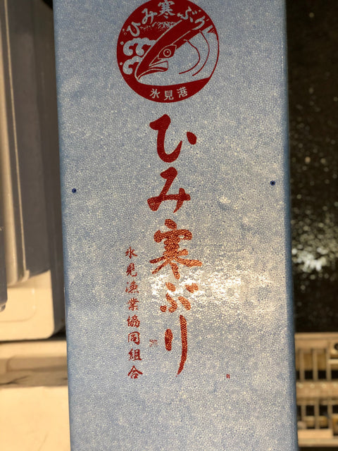氷見 寒ブリ 最高級 鰤 1尾11キロアップ【氷見ブリ】冷蔵 豊洲直送