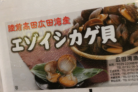 生 殻付き石垣貝 計500g（約50～60g/1個） 三陸産 豊洲直送 エゾイシガキガイ イシガキ貝【石垣貝５００ｇ】 冷蔵