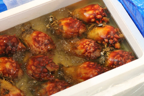 ホヤ 宮城県産 8個入り(約200g/1個) 豊洲直送 ほや 海鞘【宮城産ホヤ8個】 冷蔵