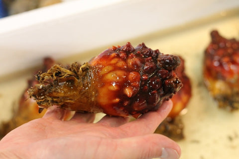 ホヤ 宮城県産 8個入り(約200g/1個) 豊洲直送 ほや 海鞘【宮城産ホヤ8個】 冷蔵