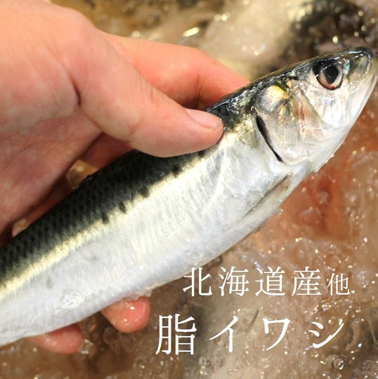 イワシ 入梅イワシ 鰯 いわし 北海道 境港 銚子 岩手 大阪産 他 豊洲直送 約150g/尾ｘ5尾 【脂イワシ５尾】 冷蔵