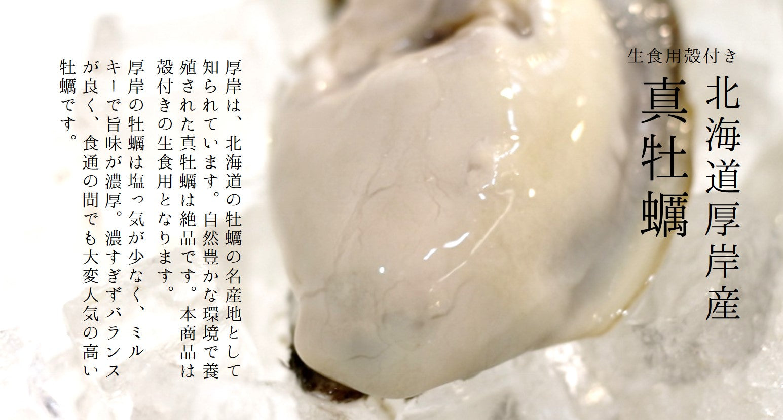 殻付き牡蠣　厚岸産 北海道 生食用 100-120g/個（Ｌサイズ） 計10個 真牡蠣 カキ かき【厚岸牡蠣100-120gx10個】 冷蔵