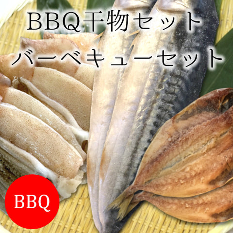 BBQ干物セット 海鮮 バーベキュー セット 3種9尾（イカの一夜干し・鯵・サバ） 築地直送【BBQ干物セット】 冷凍