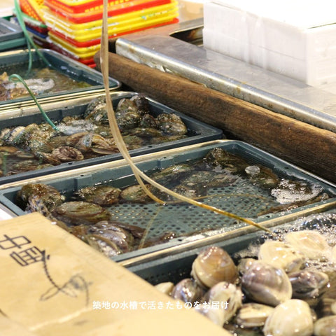 ホンビノス貝 （1個70-130gサイズ） 白ハマグリ 千葉/愛知 国産他 冷蔵