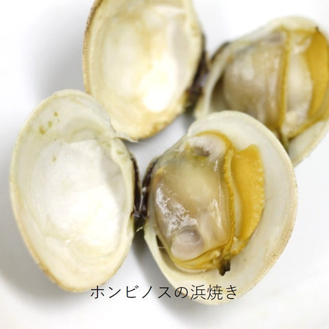 ホンビノス貝 （1個70-130gサイズ） 白ハマグリ 千葉/愛知 国産他 冷蔵