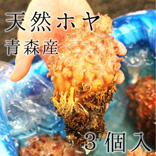 天然 活 ホヤ 青森県産 ３個(400～500g/１個） 殻付きホヤ 殻ホヤ ほや 海鞘【天然ホヤ３個】 冷蔵