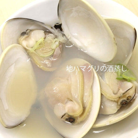 天然 地はまぐり 生（活け）特大サイズ 千葉産 冷蔵 地ハマグリ 地蛤
