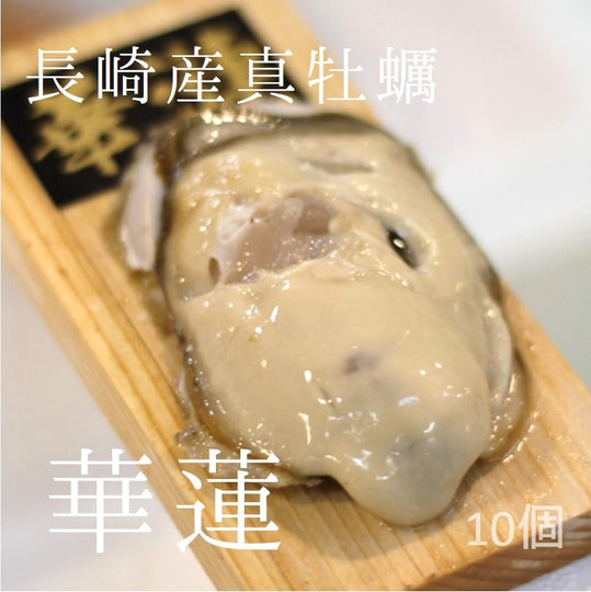 真牡蠣 華蓮 殻付き牡蠣 生食用カキ 長崎小長井産 （50-80g/1個） 10個 豊洲直送 かき カキ かれん カレン 動画有【華蓮10個】 冷蔵