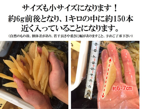 最高級カナダ産 塩数の子 無漂白 無添加 天然[豊洲直送]新物 500g 大サイズ ご家庭用【カナダ産数の子500g】 冷蔵