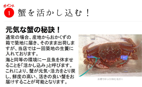 特大活毛ガニ 最高級品 北海道産 約800-900g(1杯)［豊洲直送］贈答 グルメ 鮮魚 毛蟹【活毛ガニ800-900g】 冷蔵