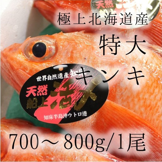 キンキ 特大サイズ 約700-800g （豊洲直送）北海道網走/知床産 きんき ギフト 贈答用 お中元 釣りキンキ【生キンキ700-800g】 冷蔵