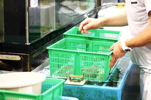 活け 高級車海老 生 九州産 他 10尾（小～特大サイズ）豊洲直送 車エビ 車えび クルマエビ【活車エビ10尾】 冷蔵