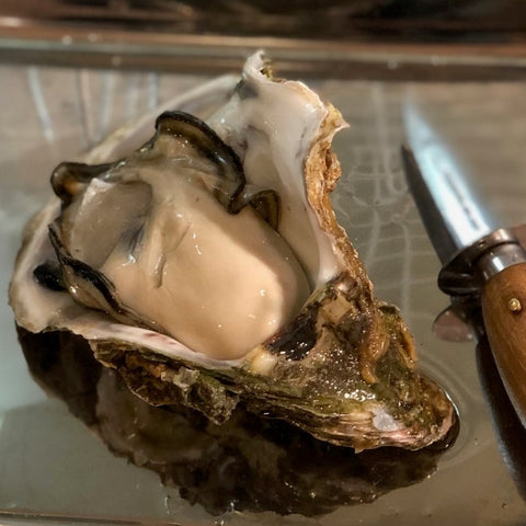岩牡蠣 三重 伊勢 （大サイズ） 生食 3個入 殻付き 岩かき 1個350-500g 豊洲直送【三重岩牡蠣10入ｘ3個】冷蔵