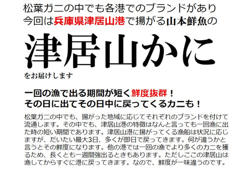 活松葉ガニ 最高級 ズワイガニ 兵庫 津居山カニ 産地直送 ズワイ蟹