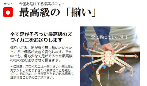 活松葉ガニ 最高級 ズワイガニ 兵庫 津居山カニ 産地直送 ズワイ蟹