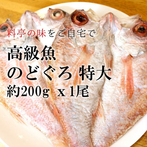 高級干物 のどぐろの開き 贈答用 特大サイズ200-250g x1尾 下関産 ギフト 【ノドグロ２００ｇx１尾】 冷凍 アカムツ 赤睦