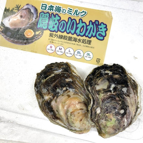 生 岩牡蠣 隠岐の島 5個 殻付き 生食用 Sサイズ【隠岐岩牡蠣5個】冷蔵 豊洲市場