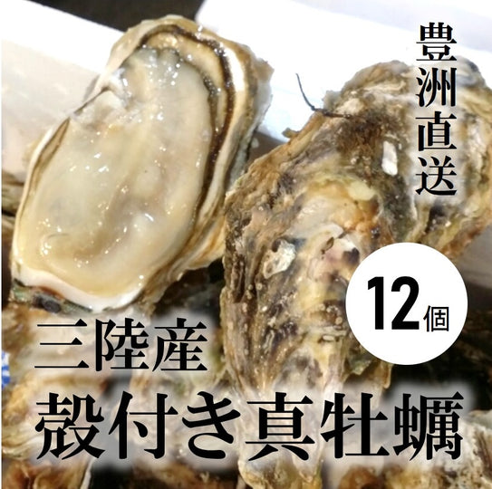 真牡蠣 殻付き牡蠣 生食用カキ 三陸産 大サイズ 12個 豊洲直送 かき［豊洲直送］【三陸牡蠣３０ｘ１２個】 冷蔵