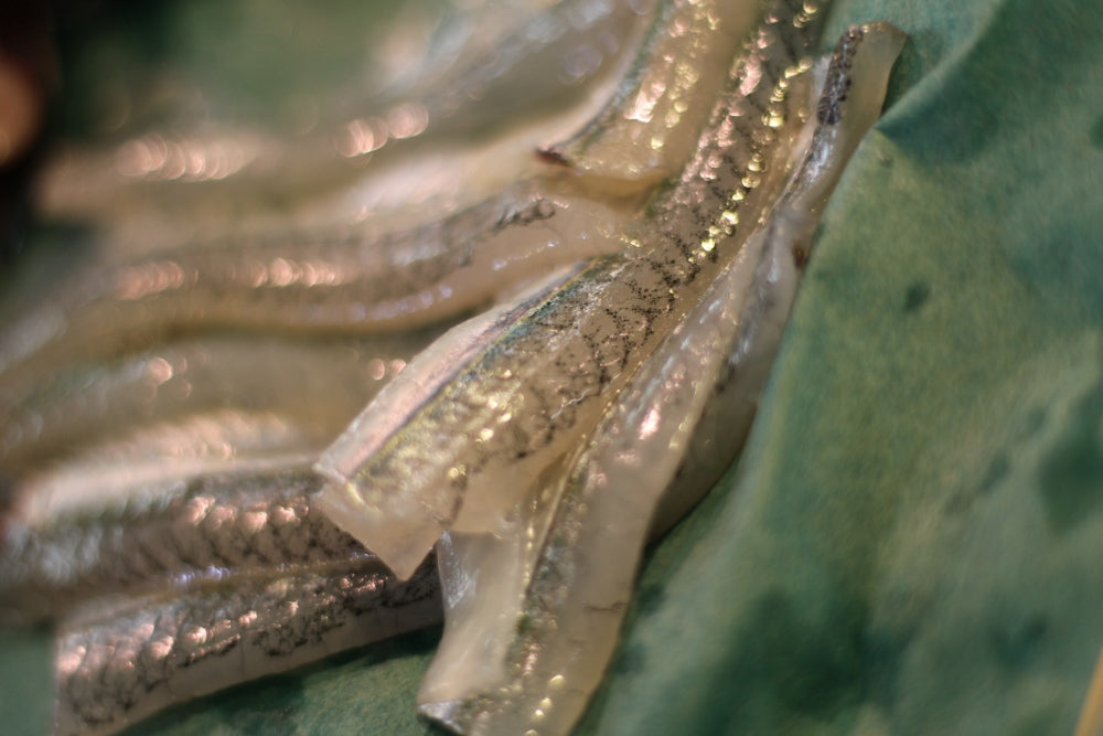 サヨリ 特選 閂 カンヌキ 国産（茨城・竹岡他）豊洲直送 500g 細魚 刺身【サヨリ500g】 冷蔵