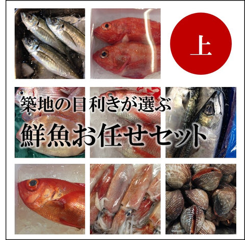 鮮魚お任せセット「特上」5-8種 豊洲直送【鮮魚セット特上ｘ１】冷蔵