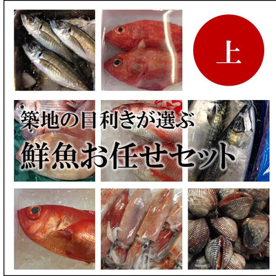 ご馳走鮮魚セット 定期便 月1回 冷蔵