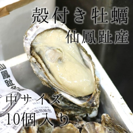 仙鳳趾産 殻付き牡蠣 生食用 中サイズ10個（1個約150-200g）豊洲直送 北海道産 カキ かき【仙鳳趾牡蠣140gx10個】 冷蔵