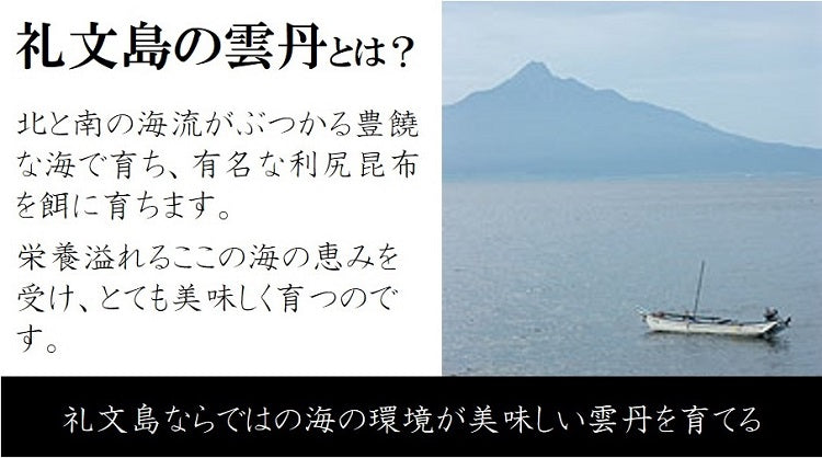 最高級 北海道礼文島産の塩ウニ（エゾバフンウニ）60gx2瓶 ギフト 贈答用 【塩ウニ６０ｇｘ２】 冷凍