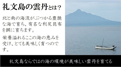 最高級 北海道礼文島産の塩ウニ（エゾバフンウニ）60gx2瓶 ギフト 贈答用 【塩ウニ６０ｇｘ２】 冷凍