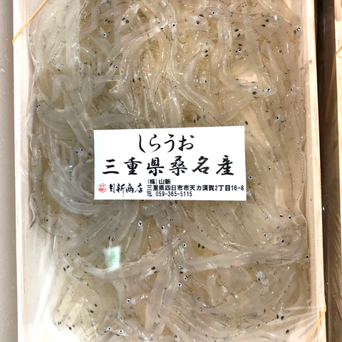 生 白魚 三重県 桑名産 200g（大）豊洲直送【桑名 白魚ｘ１】冷蔵 しらうお シラウオ