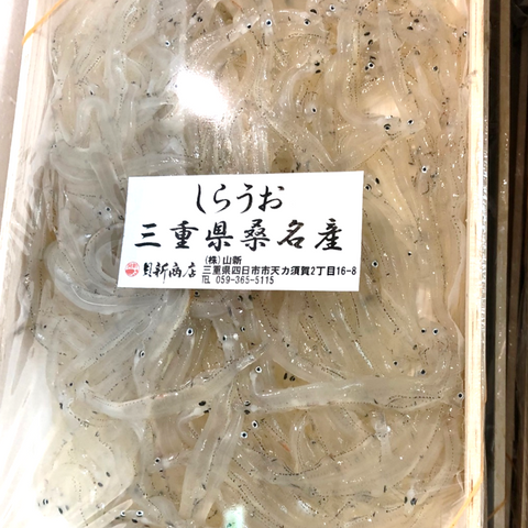 生 白魚 三重県 桑名産 200g（大）豊洲直送【桑名 白魚ｘ１】冷蔵 しらうお シラウオ