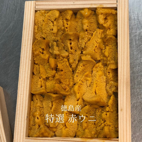 特選 赤ウニ 徳島県産 50g 赤雲丹【徳島産赤ウニ 】冷蔵 豊洲直送