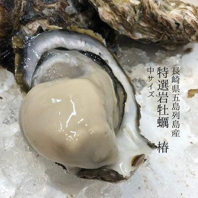 岩牡蠣 椿 長崎県五島列島（生食用殻付き）ツバキ つばき 養殖岩牡蠣【ツバキ岩牡蠣】豊洲直送  冷蔵