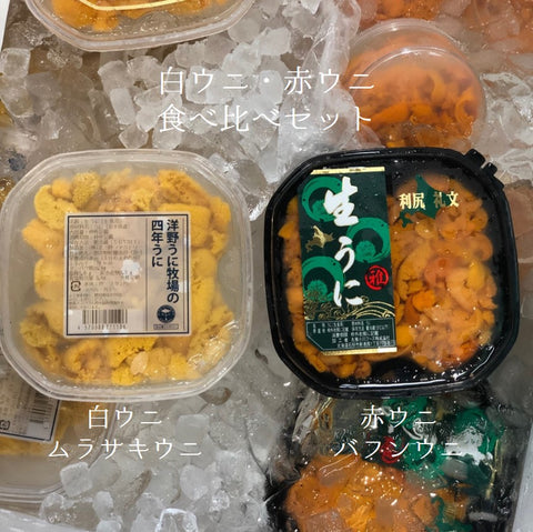 特選雲丹 赤ウニ（100g）・白ウニ（100g）食べ比べ  塩水ウニ2パック 北海道・岩手産 他【ウニ白赤食べ比べセット】冷蔵 豊洲直送